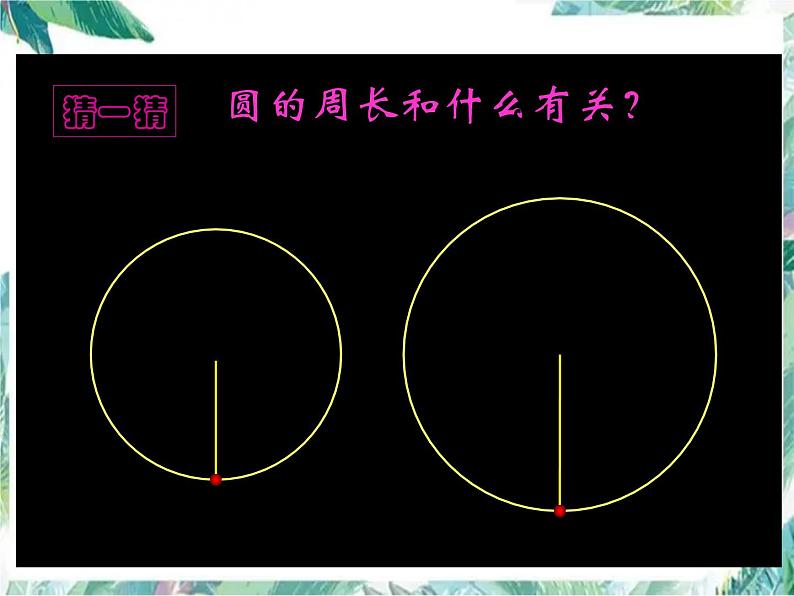 北师大版 六年级上册  圆的周长 优质课件第6页