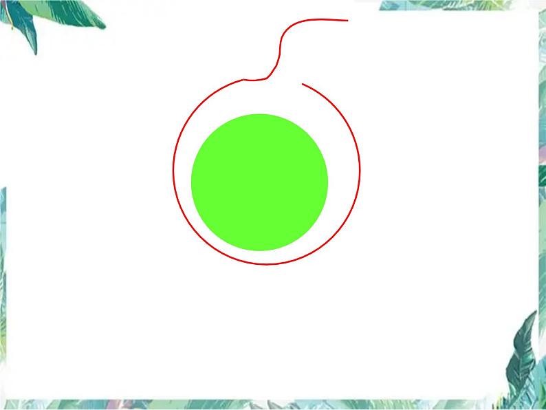 北师大版 六年级上册 圆的认识 优质课件04