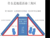 四年级数学下册课件-5.1 三角形的特性55-人教版(共13张PPT)