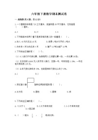 六年级下册数学期末测试卷（达标题）