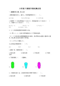 六年级下册数学期末测试卷【达标题】