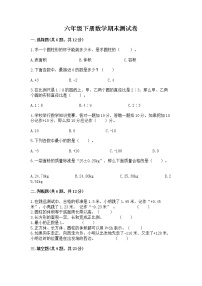 六年级下册数学期末测试卷及完整答案（必刷）