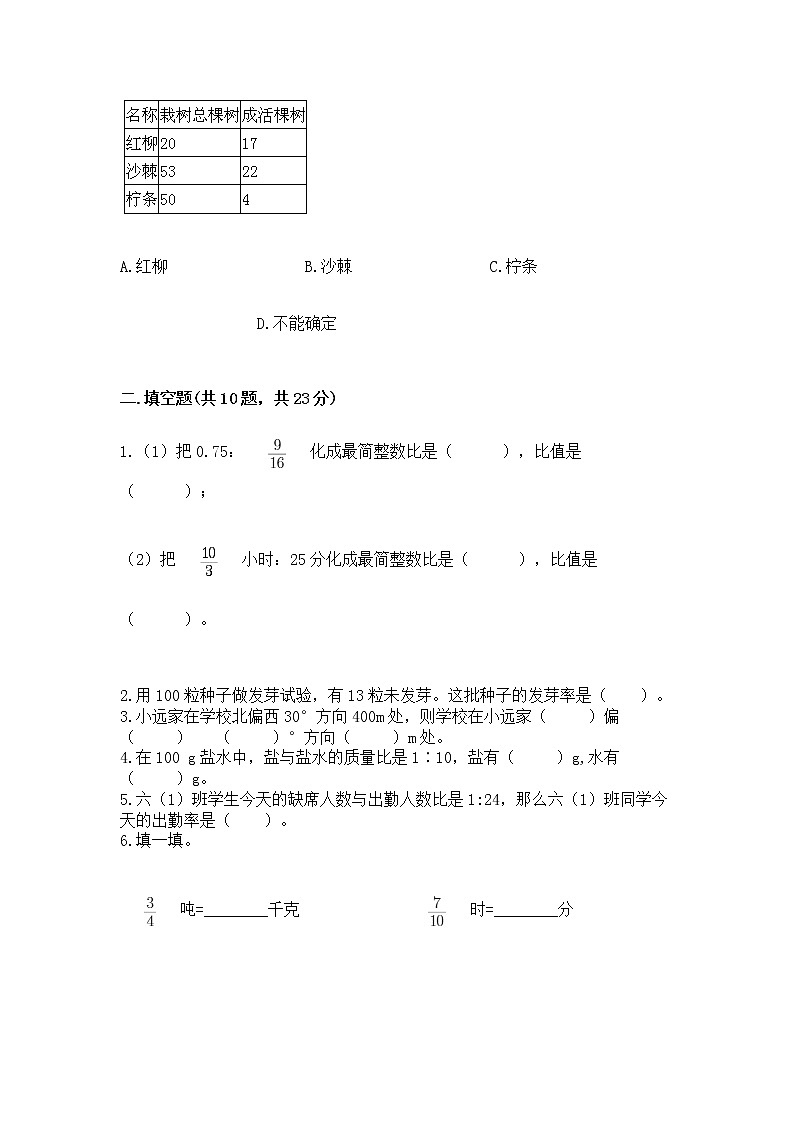 人教版小学数学六年级上册重点题型专项练习第3页