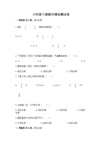 六年级下册数学期末测试卷精品（模拟题）