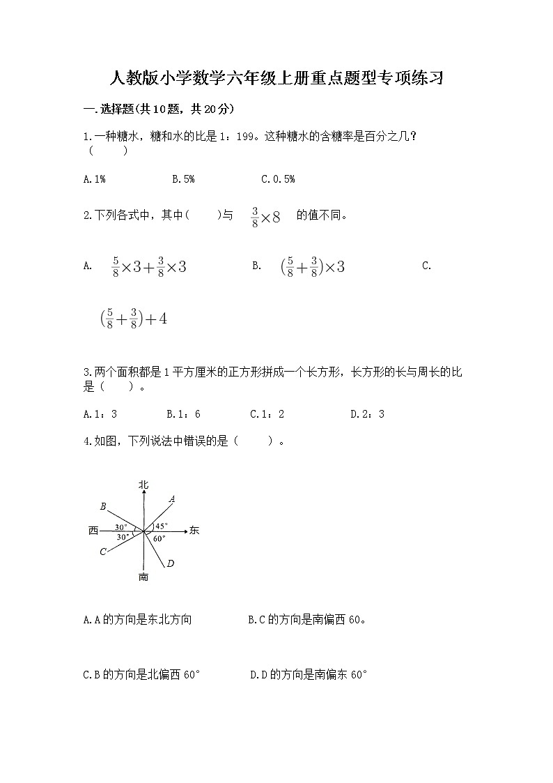 人教版小学数学六年级上册重点题型专项练习01