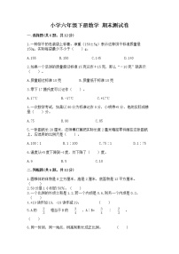 小学六年级下册数学 期末测试卷（名校卷）