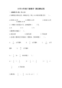 小学六年级下册数学 期末测试卷（名师系列）word版