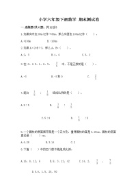 小学六年级下册数学 期末测试卷（历年真题）