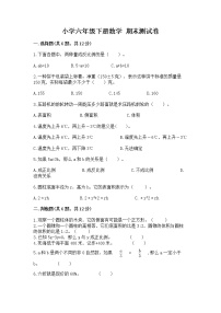 小学六年级下册数学 期末测试卷（培优b卷）