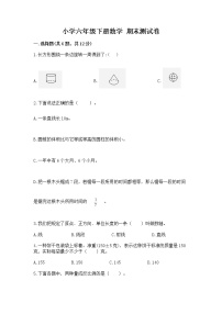 小学六年级下册数学 期末测试卷（名师推荐）