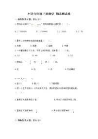 小学六年级下册数学 期末测试卷（精选题）word版