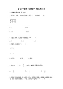 小学六年级下册数学 期末测试卷【达标题】