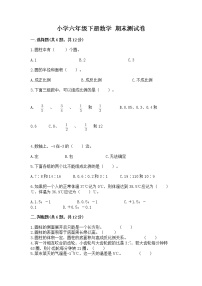 小学六年级下册数学 期末测试卷【精品】