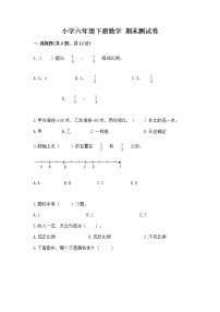 小学六年级下册数学 期末测试卷附参考答案【模拟题】