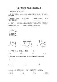 小学六年级下册数学 期末测试卷附完整答案（历年真题）