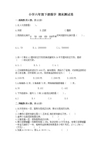 小学六年级下册数学 期末测试卷附完整答案（典优）