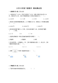 小学六年级下册数学 期末测试卷附完整答案（名师系列）