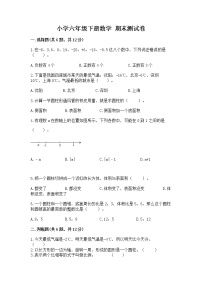 小学六年级下册数学 期末测试卷附答案【精练】