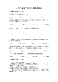 小学六年级下册数学 期末测试卷附参考答案【突破训练】