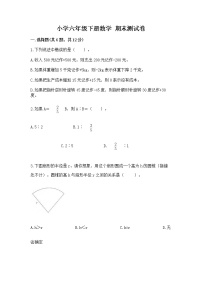 小学六年级下册数学 期末测试卷附完整答案（考点梳理）