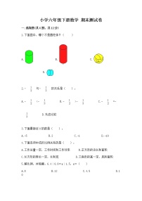 小学六年级下册数学 期末测试卷【必刷】