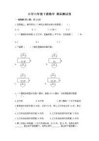 小学六年级下册数学 期末测试卷（网校专用）word版