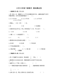 小学六年级下册数学 期末测试卷【实用】