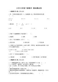 小学六年级下册数学 期末测试卷【预热题】