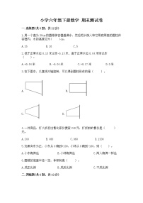 小学六年级下册数学 期末测试卷必考题