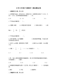 小学六年级下册数学 期末测试卷【综合卷】