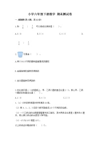 小学六年级下册数学 期末测试卷带答案（能力提升）