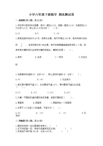 小学六年级下册数学 期末测试卷含完整答案【名师系列】