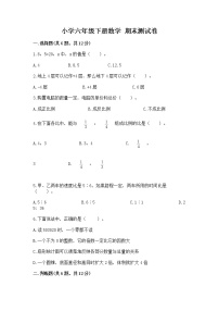 小学六年级下册数学 期末测试卷含答案【研优卷】