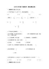 小学六年级下册数学 期末测试卷及解析答案