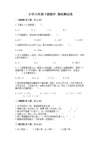 小学六年级下册数学 期末测试卷及参考答案【夺分金卷】