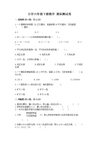 小学六年级下册数学 期末测试卷及参考答案（预热题）