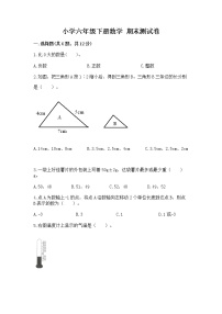 小学六年级下册数学 期末测试卷及参考答案【实用】