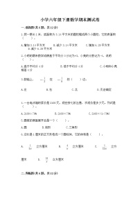 小学六年级下册数学期末测试卷（名师系列）word版