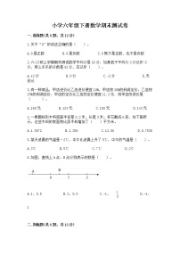 小学六年级下册数学期末测试卷（word）