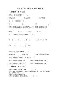 小学六年级下册数学 期末测试卷完整参考答案