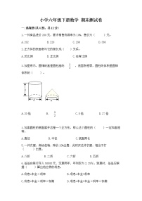 小学六年级下册数学 期末测试卷精品【突破训练】