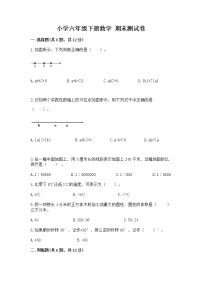 小学六年级下册数学 期末测试卷通用