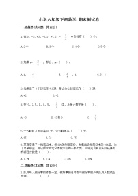 小学六年级下册数学 期末测试卷含答案ab卷