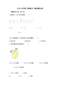 小学六年级下册数学 期末测试卷含完整答案（夺冠）