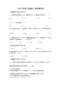 小学六年级下册数学 期末测试卷含完整答案（精品）