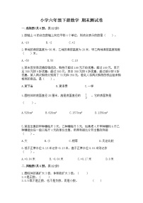 小学六年级下册数学 期末测试卷含完整答案【必刷】