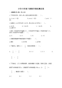 小学六年级下册数学期末测试卷（夺冠系列）word版