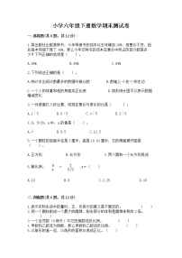 小学六年级下册数学期末测试卷（精练）