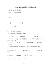 小学六年级下册数学 期末测试卷往年题考