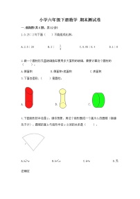 小学六年级下册数学 期末测试卷可打印